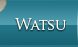 ¿Qué es Watsu?
